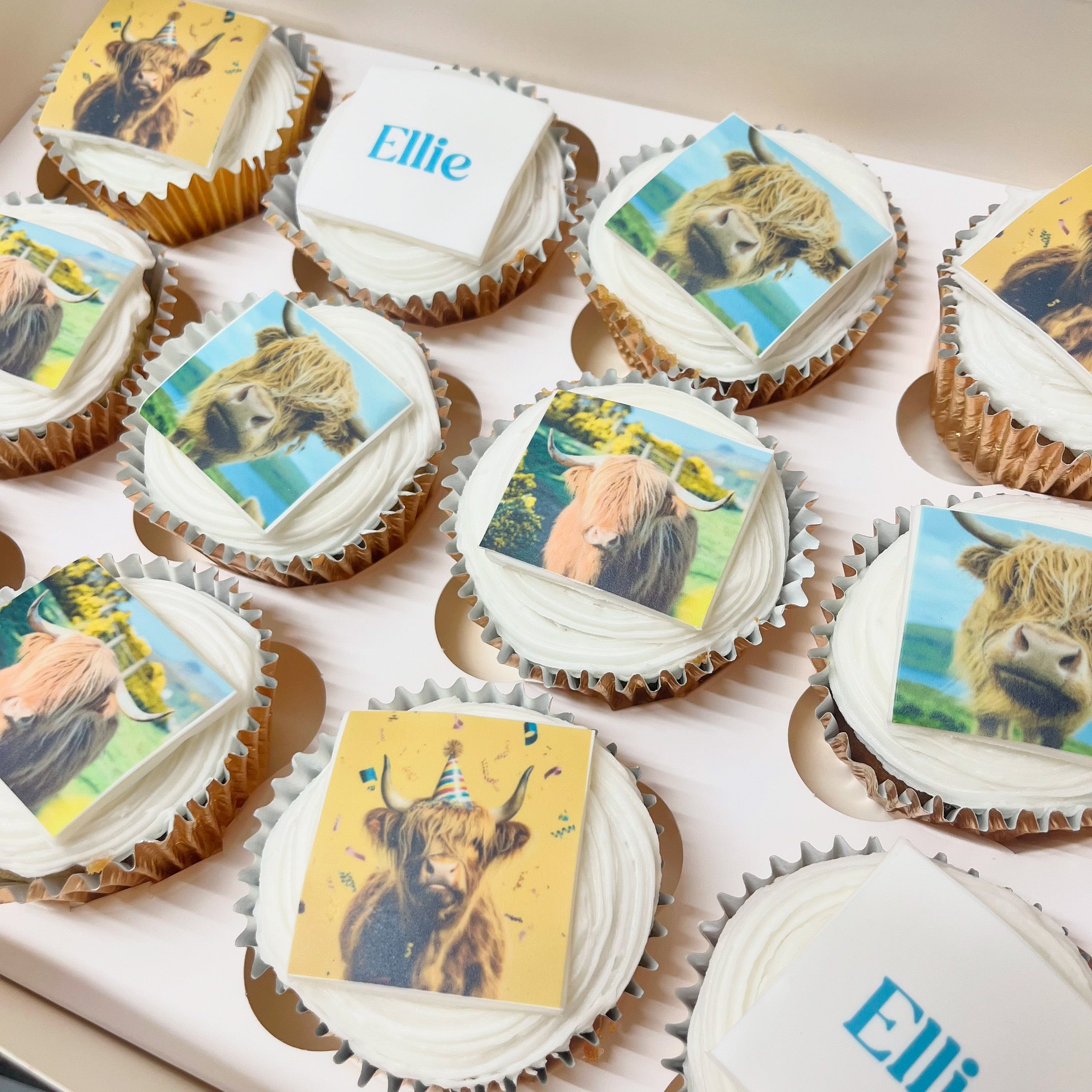 Cupcake Boxes