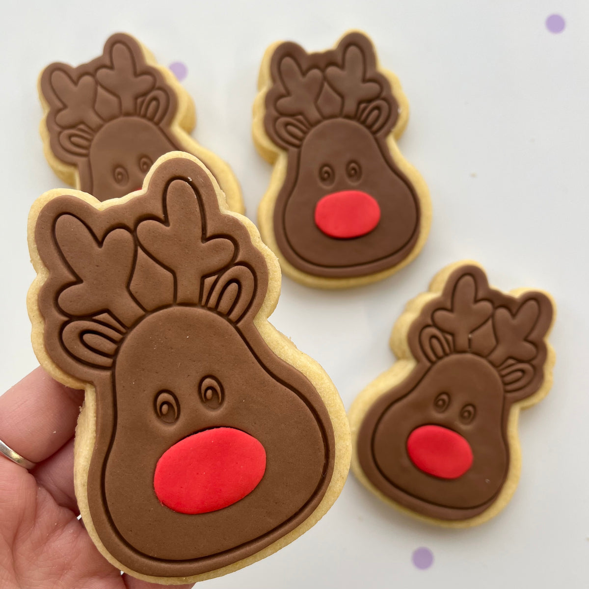 Reindeer*