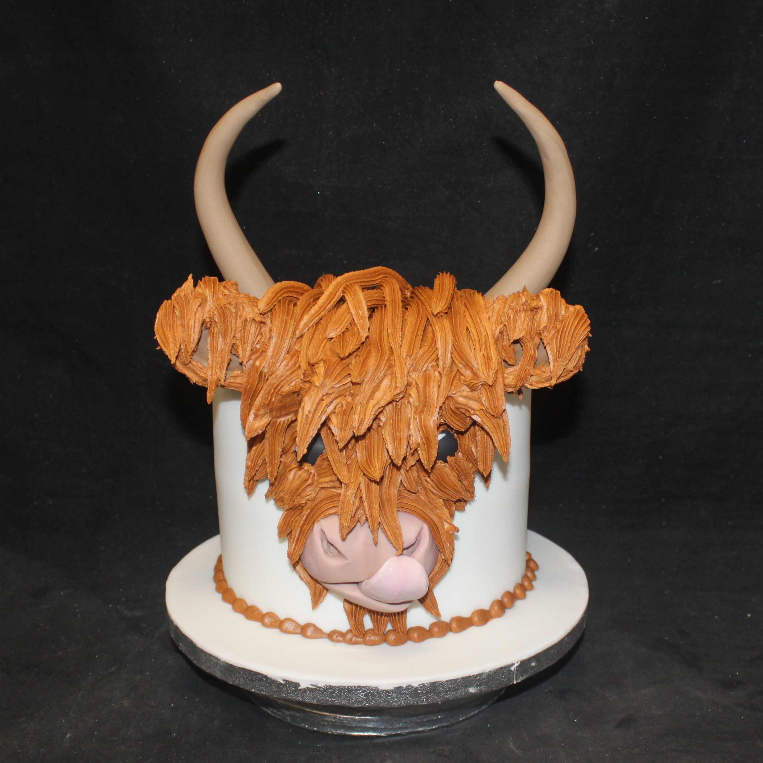 Highland Cow